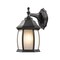 Z-Lite Waterdown 1 Light Outdoor Wall Light, Black And White Seedy T20-BK-F - alternate 1